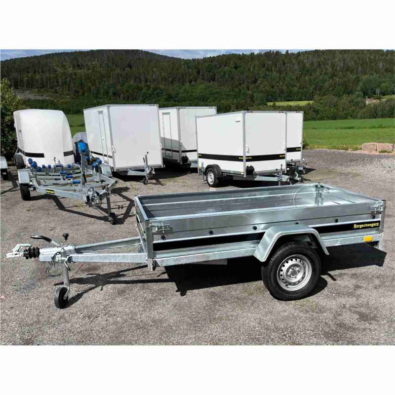 Norgeshengern N0924 - Varehenger